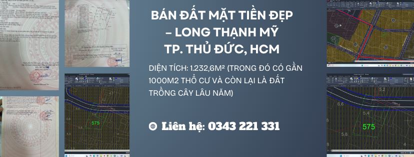 https://infonhadat.com.vn/ban-dat-mat-tien-dep-long-thanh-my-tp-thu-duc-hcm-j39710.html