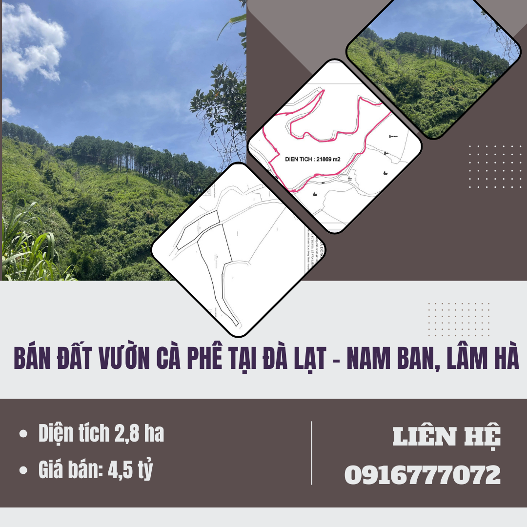 https://infonhadat.com.vn/ban-dat-vuon-ca-phe-tai-da-lat-nam-ban-lam-ha-j39968.html